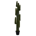 Piante cactus messicano con vaso nero 40x183 cm
