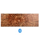 Quadro Moderno Stampa Bluetooth Tronco 150x50x4 cm