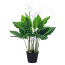 Pianta Calla da arredo con vaso 68h cm - Samnite
