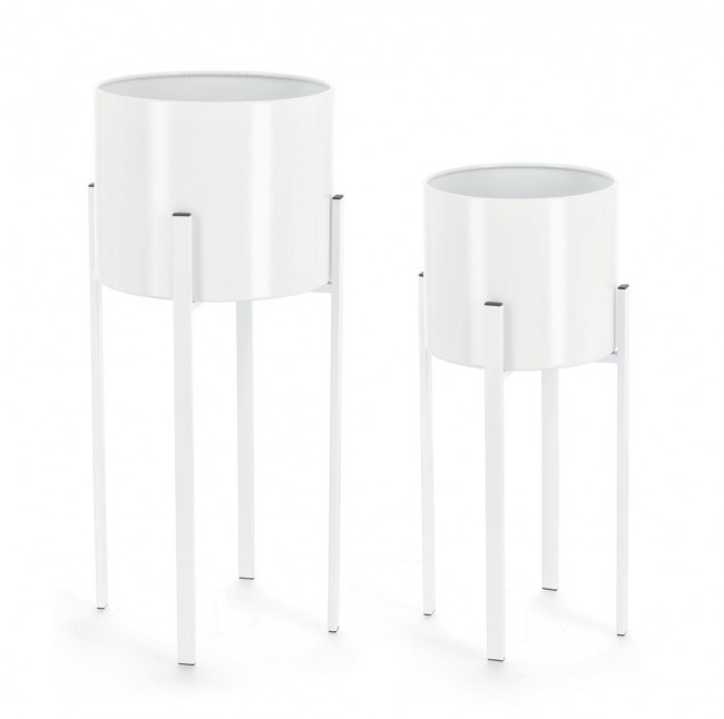 Set2 P.Fiore Ester To Bianco - Samnite