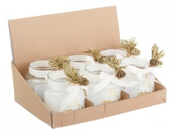 [S-B0934535] 12x Candela Prof Kim C-Vt Pigna In Disp6