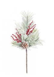 [S-B0971248] 12x Pick Cherryl Bacche Rosso  H55Cm