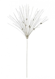 [S-B0921487] 12x Pick Gleam Champagne C