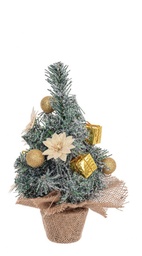 [S-B0938883] 12x Pino Stephan Inn Oro H30Cm