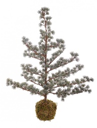 [S-B0937152] 2x Pino Kokedama Arctic Ghiacciato H85