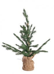 [S-B0937168] 6x Pino Nordend H60