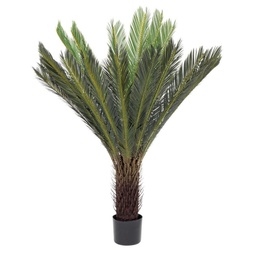 [S-B0172619] Plant with pot Palm Cycas 28 leaves 120h cm