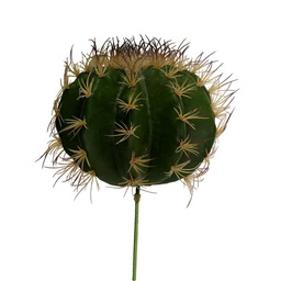 [S-V3628850000] Ramo di cactus verde cmø25h17-30